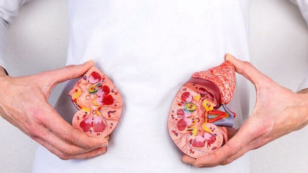 تشخیص و درمان عفونت کلیه