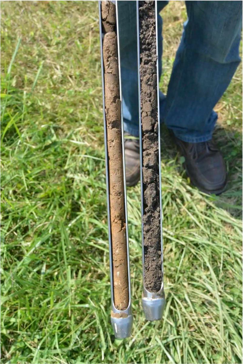 خاک سالم کلید اصلی تغذیه ی جهان است