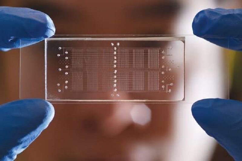 بیومولتی‌متر برای اندازه گیری تولید بلادرنگ RNA و پروتئین