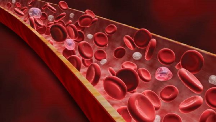 آشنایی با خون به زبان ساده