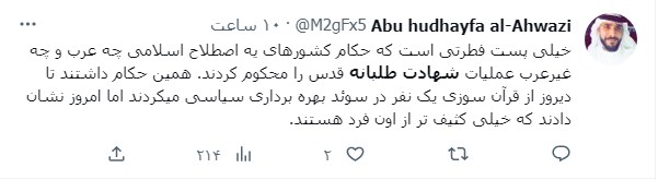 آتش در لانه عنکبوت؛ عملیات جنین و پاسخش همراه با نظرات فعالان فچازی