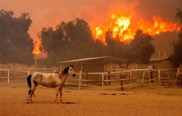 آتش به جان امریکا +‌ چندین فیلم و عکس از این بحران