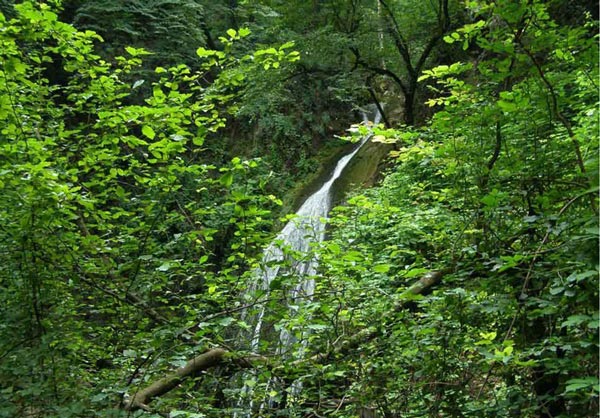 معرفی پارک ملی گلستان