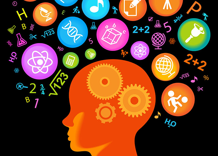 بهترین مواد غذایی برای تقویت حافظه