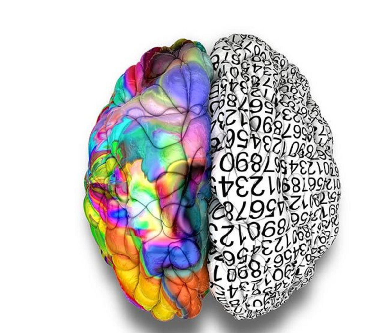 ترفند‌هایی برای فعال کردن هر ۲ نیمکره مغز