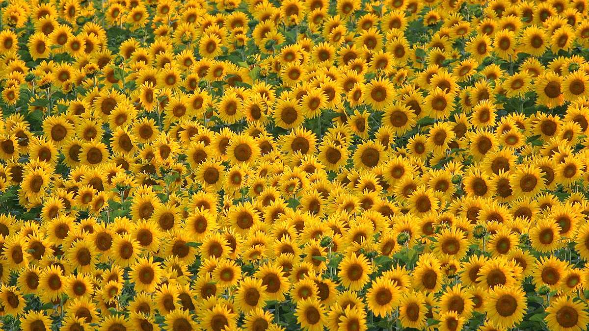 معرفی جاذبه های طبیعی شاهرود