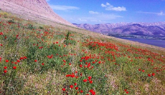 آشنایی با تالاب چغاخور
