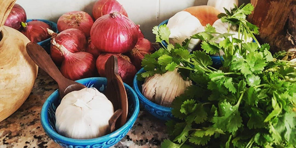 چگونگی از بین بردن مارمولک در خانه