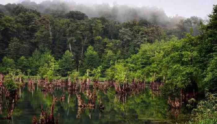 معرفی دریاچه ارواح نوشهر
