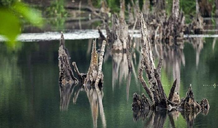 معرفی دریاچه ارواح نوشهر