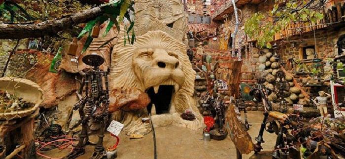 آشنایی با دشت هویج