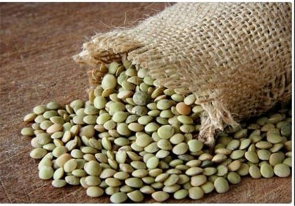 از خواص و مضرات عدس چه میدانید؟