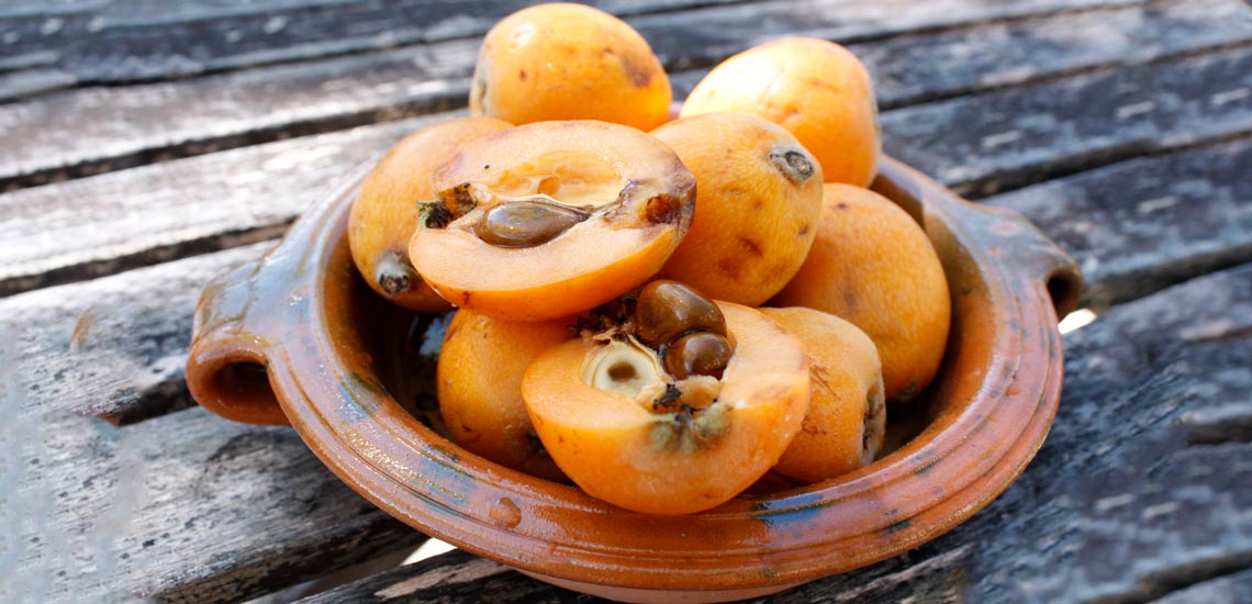 دستور پخت مربای ازگیل