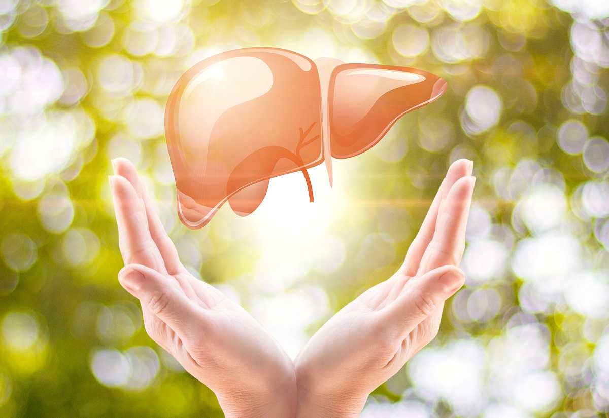 آشنایی با خیار شور و فواید آن