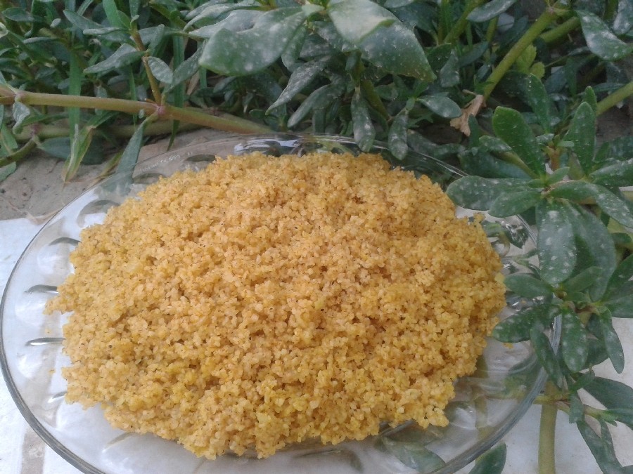 طرز تهیه سه مدل از غذاهای سنتی بوشهر