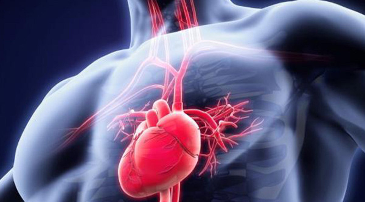 بلوک قلبی چیست ، تشخیص انواع و آن را بشناسیم