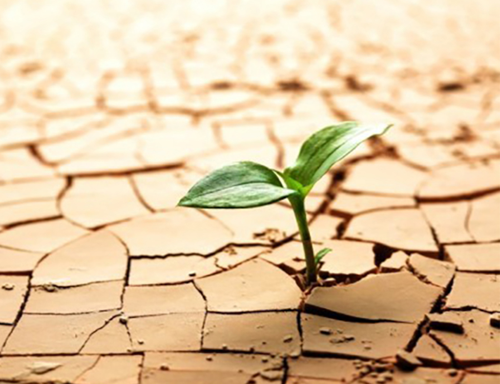 نظریه امید اسنایدر و تفکر امیدوارانه در رسیدن به موفقیت