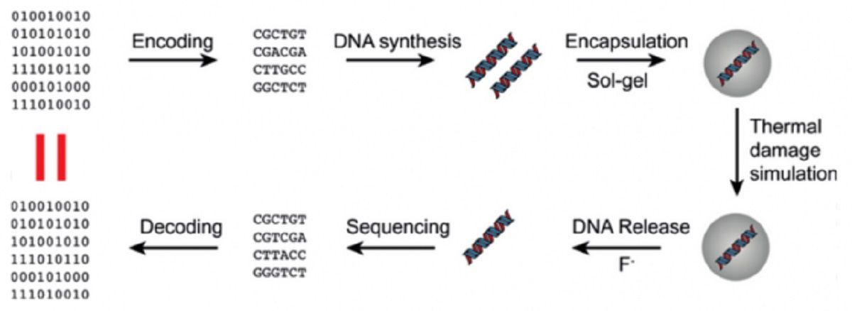 DNA: جایگزینی مناسب برای ذخیره سازی داده ها