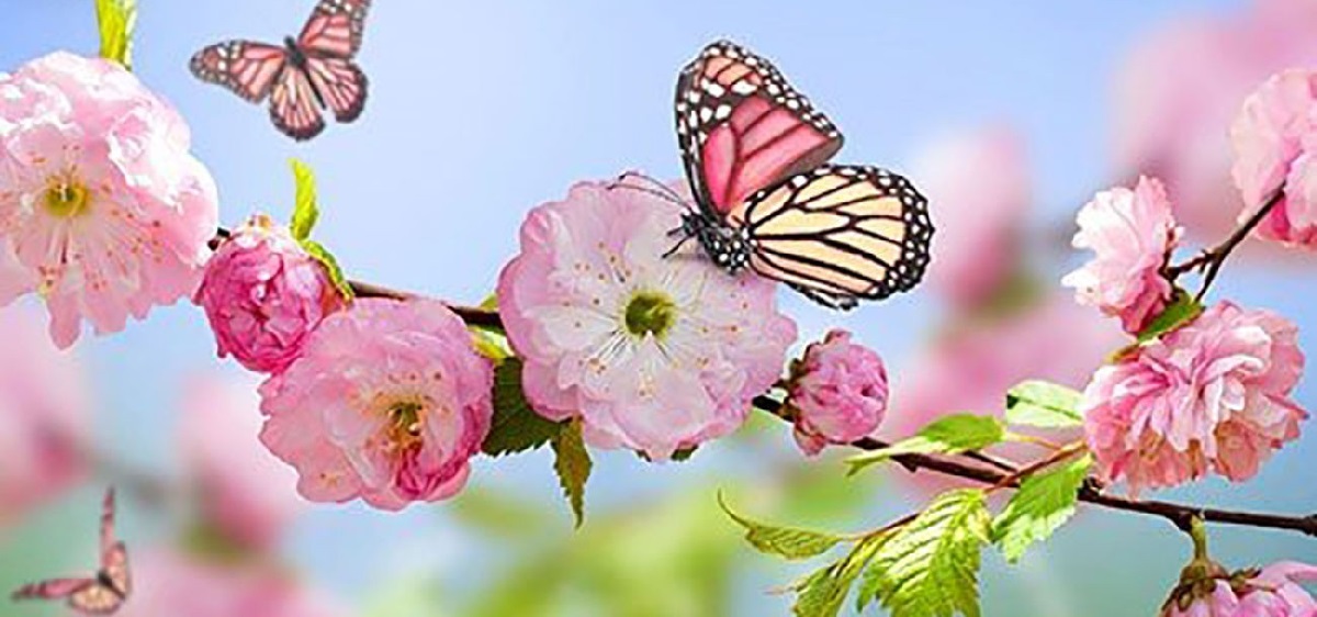 رابطه انس با مردم و انس با خدا، از نگاه امام حسن عسکری علیه السلام