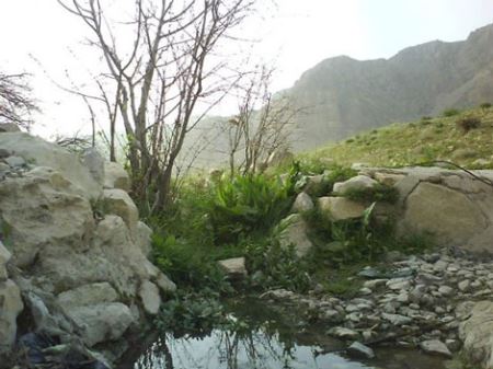 با روستای دوان کازرون آشنا شوید
