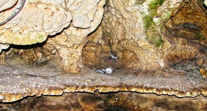 معرفی غار آبی سهولان