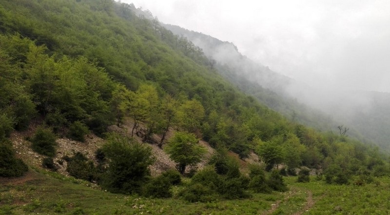 روستای ییلاقی لاویج