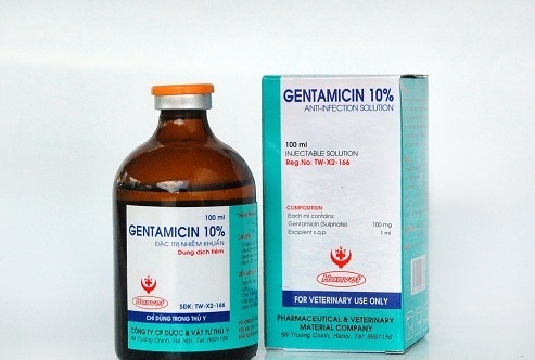 آشنایی با موارد مصرف جنتامایسین