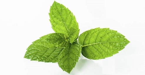 راهکارهای طبیعی برای درمان سیاهی دور چشم