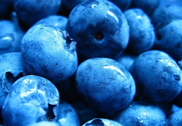 با میوه بلوبری آشنا شوید