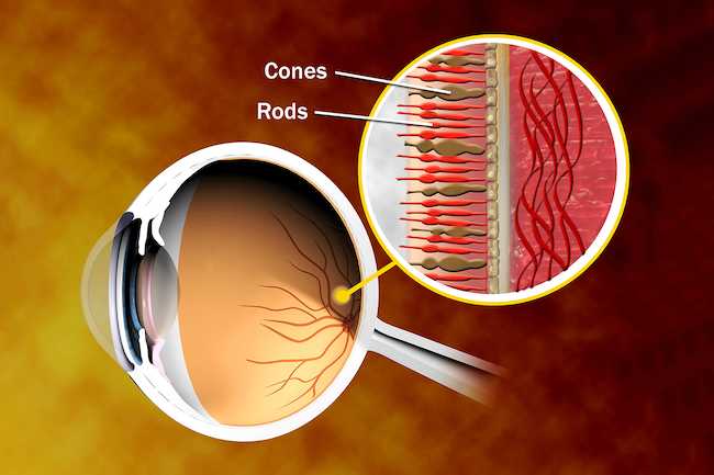 کوررنگی را بهتر بشناسید