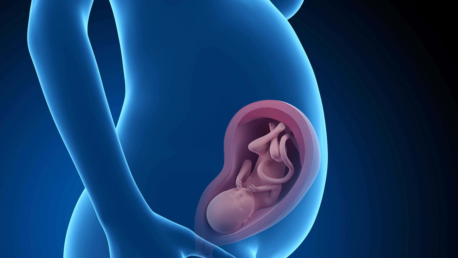 آشنایی با پیاز کوهی و خواص آن