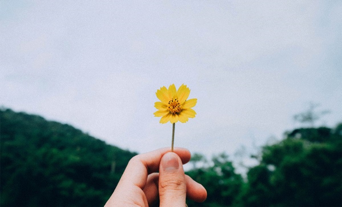 هر وقت از آینده نا امید شدید این کارها را انجام دهید