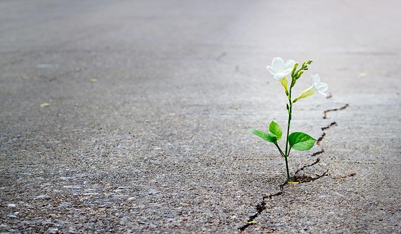 راه کار هایی که باعث می شوند امیدتان را از دست ندهید