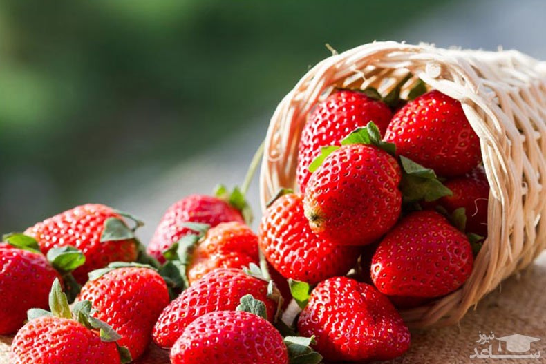 آلرژی به توت فرنگی و نحوه درمان آن آلرژی به توت فرنگی و نحوه درمان آن