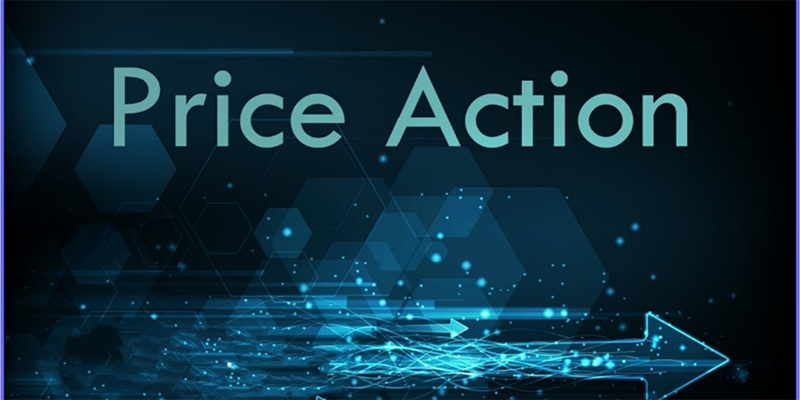 3 دوره ‌ای که هر تریدر باید بگذراند: از ارز دیجیتال تا دکس تریدینگ و پرایس اکشن