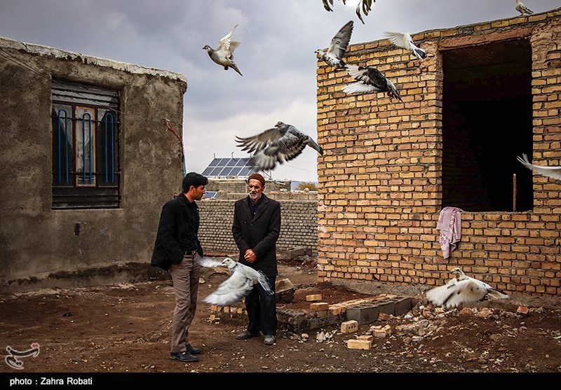 کسب رزق حلال از خورشید!