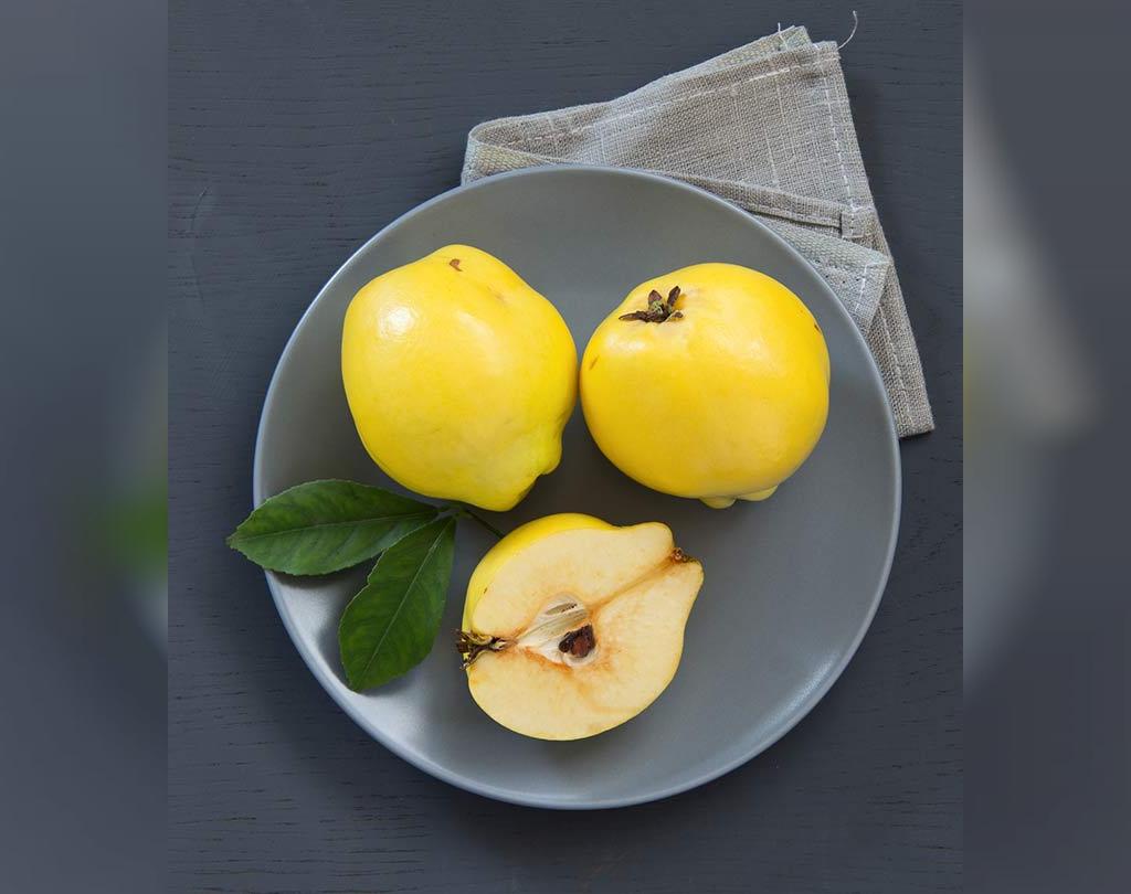 بهترین روش نگهداری از به در یخچال و فریزر