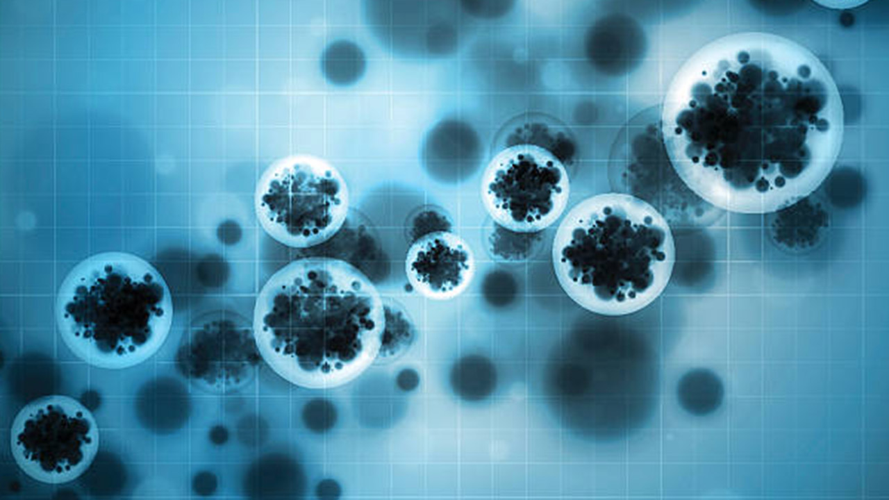 چه بیماری‌های دیگری شبیه کرونا موج جهانی پیدا کرده‌اند؟