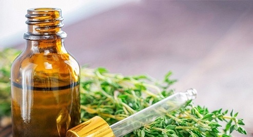 خواص اعجاب انگیز گیاه آویشن