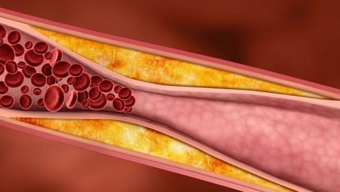 رزماری و خواص درمانی آن