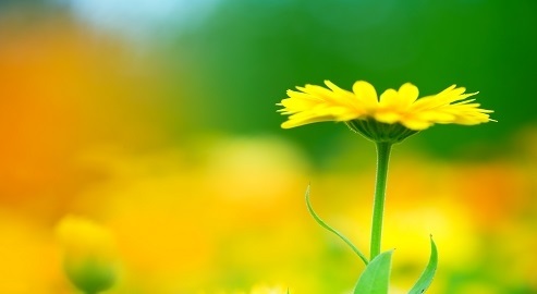 راجع به روان شناسی رنگ ها چه میدانید؟