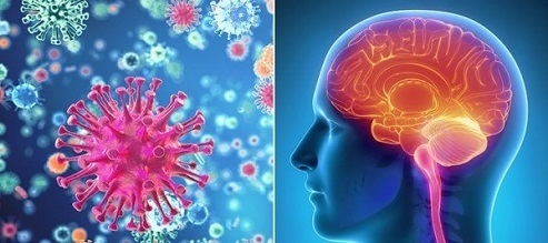 هرآنچه که باید راجع به بیماری مننژیت بدانیم