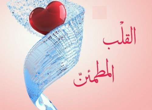 انواع قلب ها در قرآن