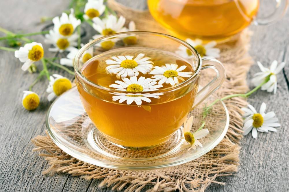 گیاه مخلصه و خواص درمانی آن
