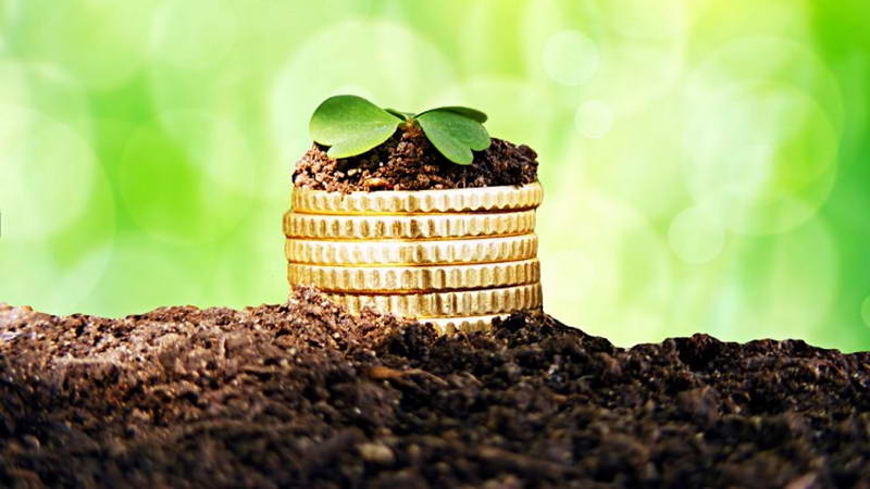 سه مورد از مهمترین راز های موفقیت که هر کسی باید بداند