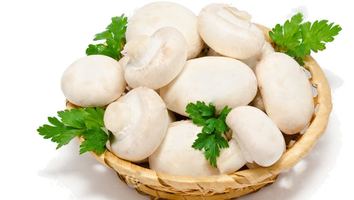 بهترین ویتامین ها و هر آنچه برای افزایش رشد و بهبود سلامت موها نیاز است