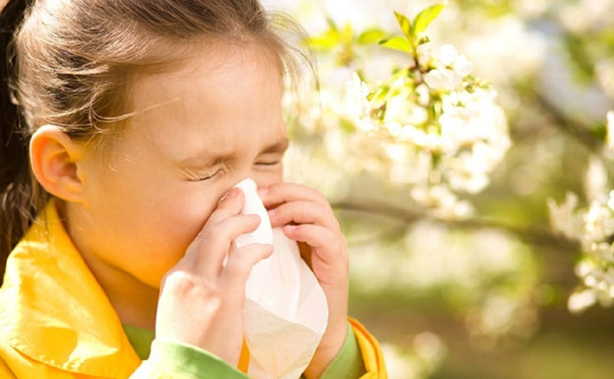 آشنایی با ساختار بینی  و بیماری‌های مرتبط با آن