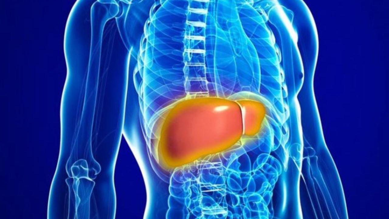 خواص عرق خار شتر