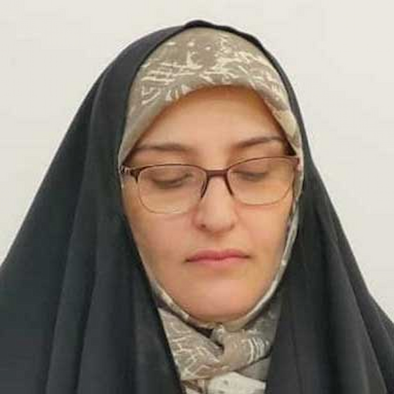 معرفی کتاب «حریر» نوشته فاطمه سلطانی وشنوه