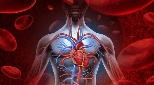 خواص اعجاب انگیز گیاه آویشن